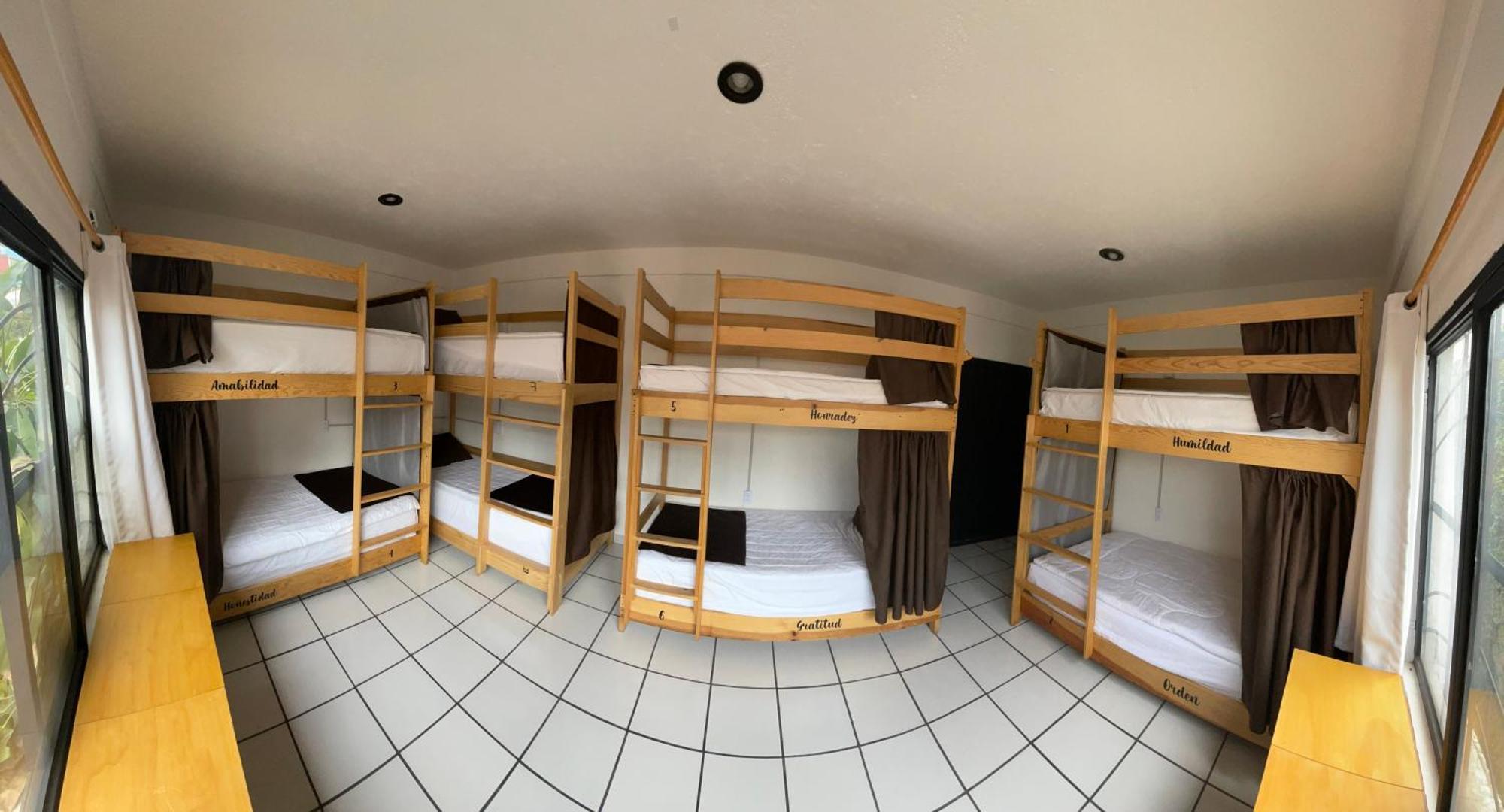 Hostal Roma Condesa Ciudad de México Exterior foto